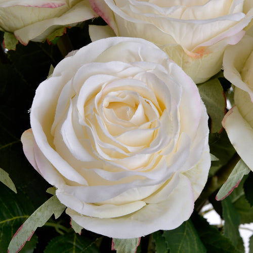 Artificial, Traditional White Rose