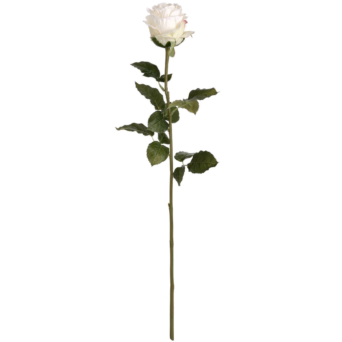 Artificial, Traditional White Rose