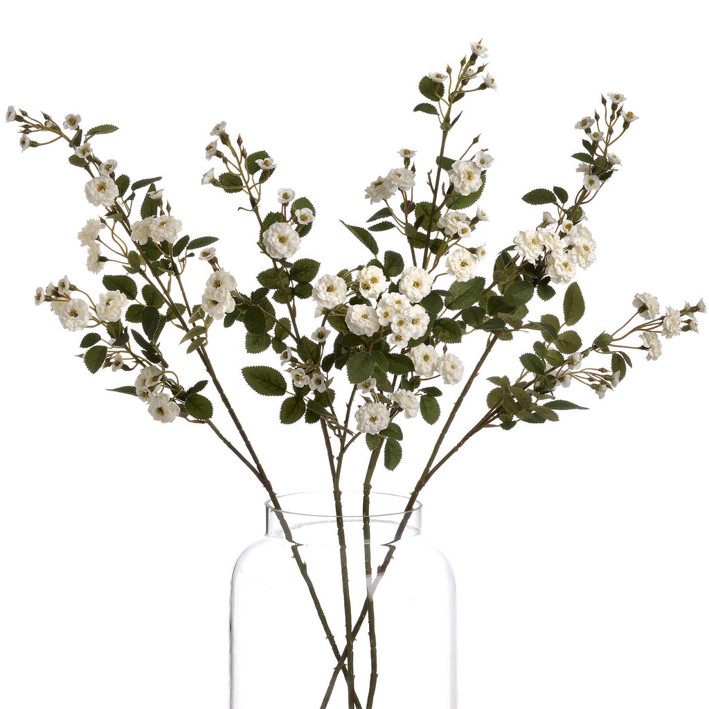 Single Stem, White Wild Meadow Rose