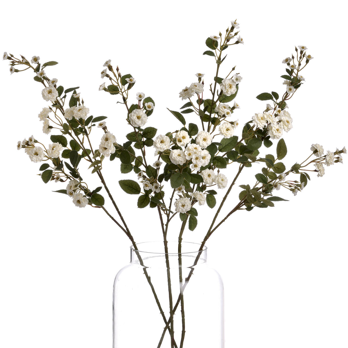 Single Stem, White Wild Meadow Rose