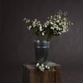 Single Stem, White Wild Meadow Rose