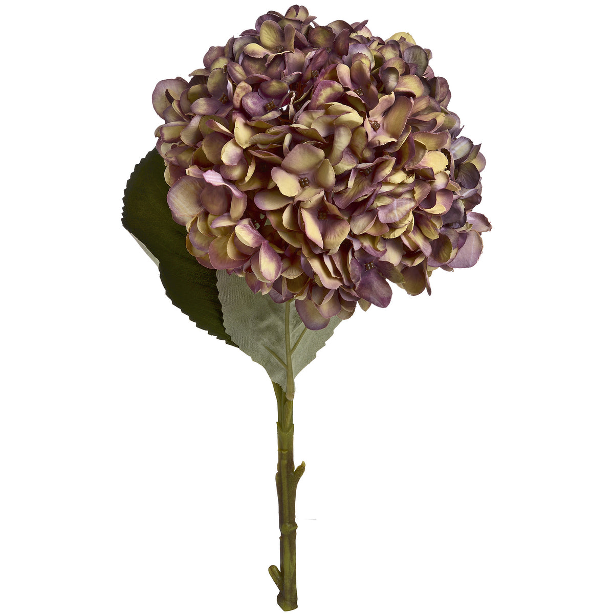 Single Stem, Autumn Burgundy Hydrangea