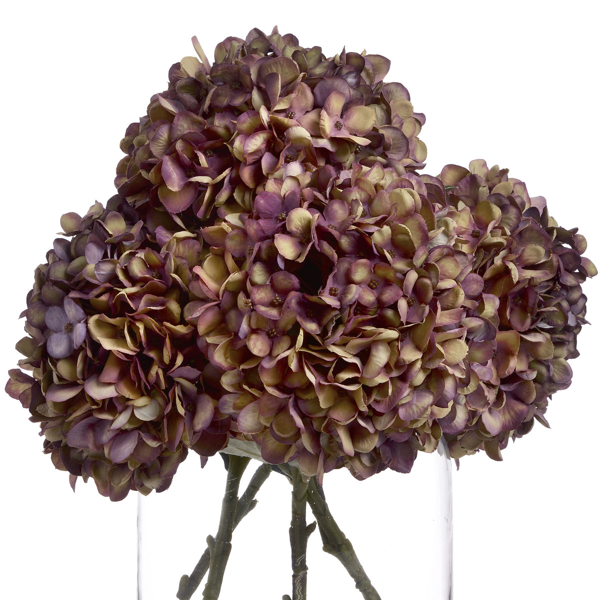 Single Stem, Autumn Burgundy Hydrangea