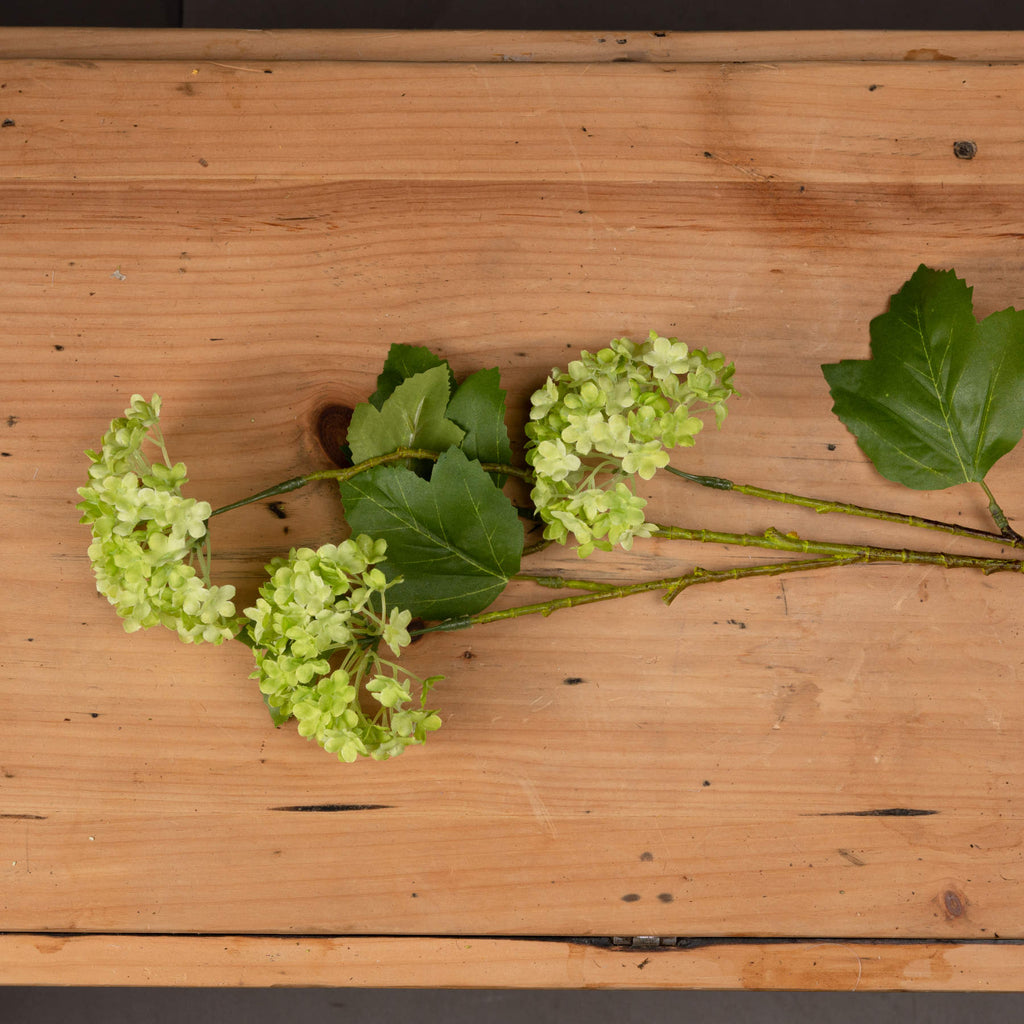 Green Viburnum Spray - Single Stem