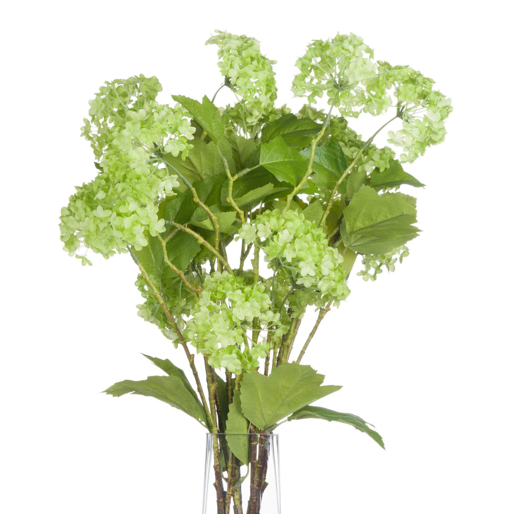 Green Viburnum Spray - Single Stem