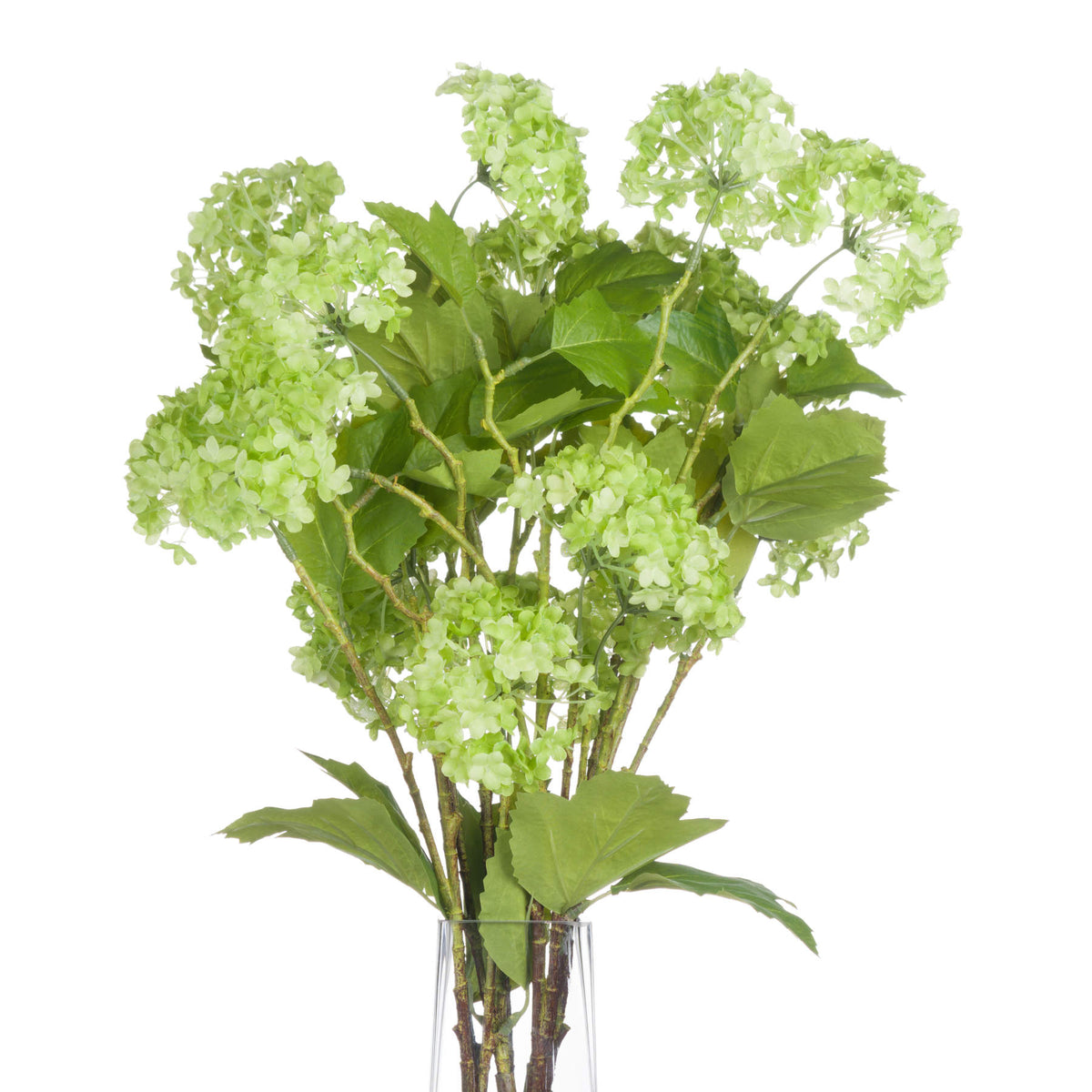 Green Viburnum Spray - Single Stem