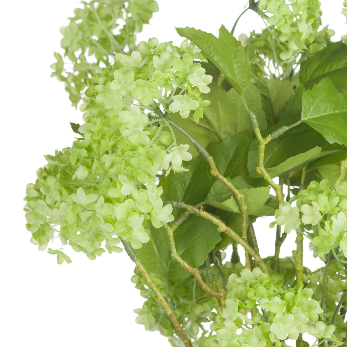 Green Viburnum Spray - Single Stem