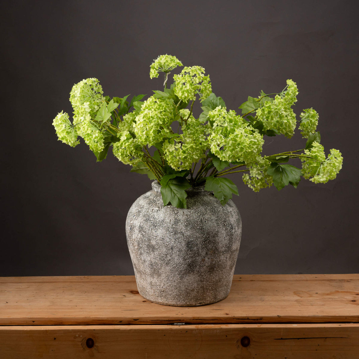 Green Viburnum Spray - Single Stem