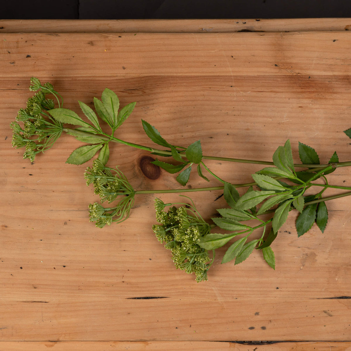 Single Stem, Faux Cow Parsley Ammi