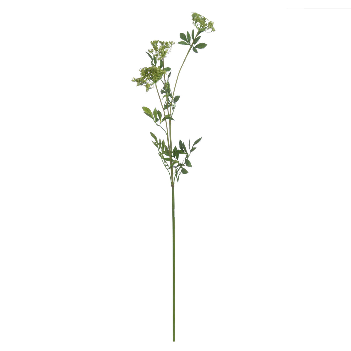 Single Stem, Faux Cow Parsley Ammi