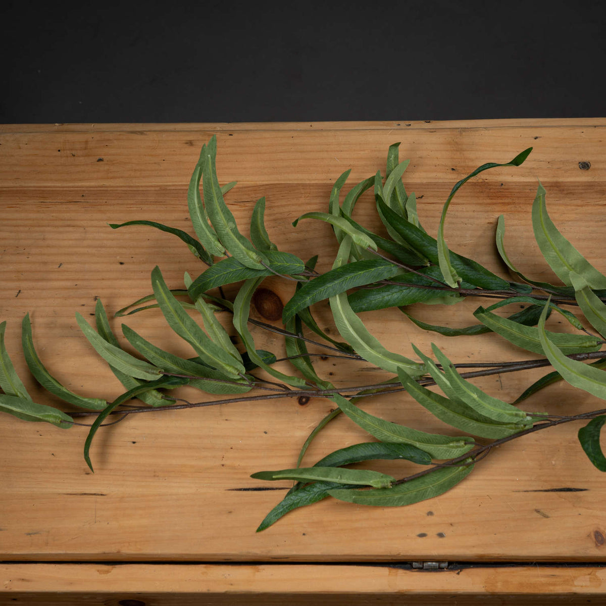 Single Stem, Eucalyptus Nicholii Spray