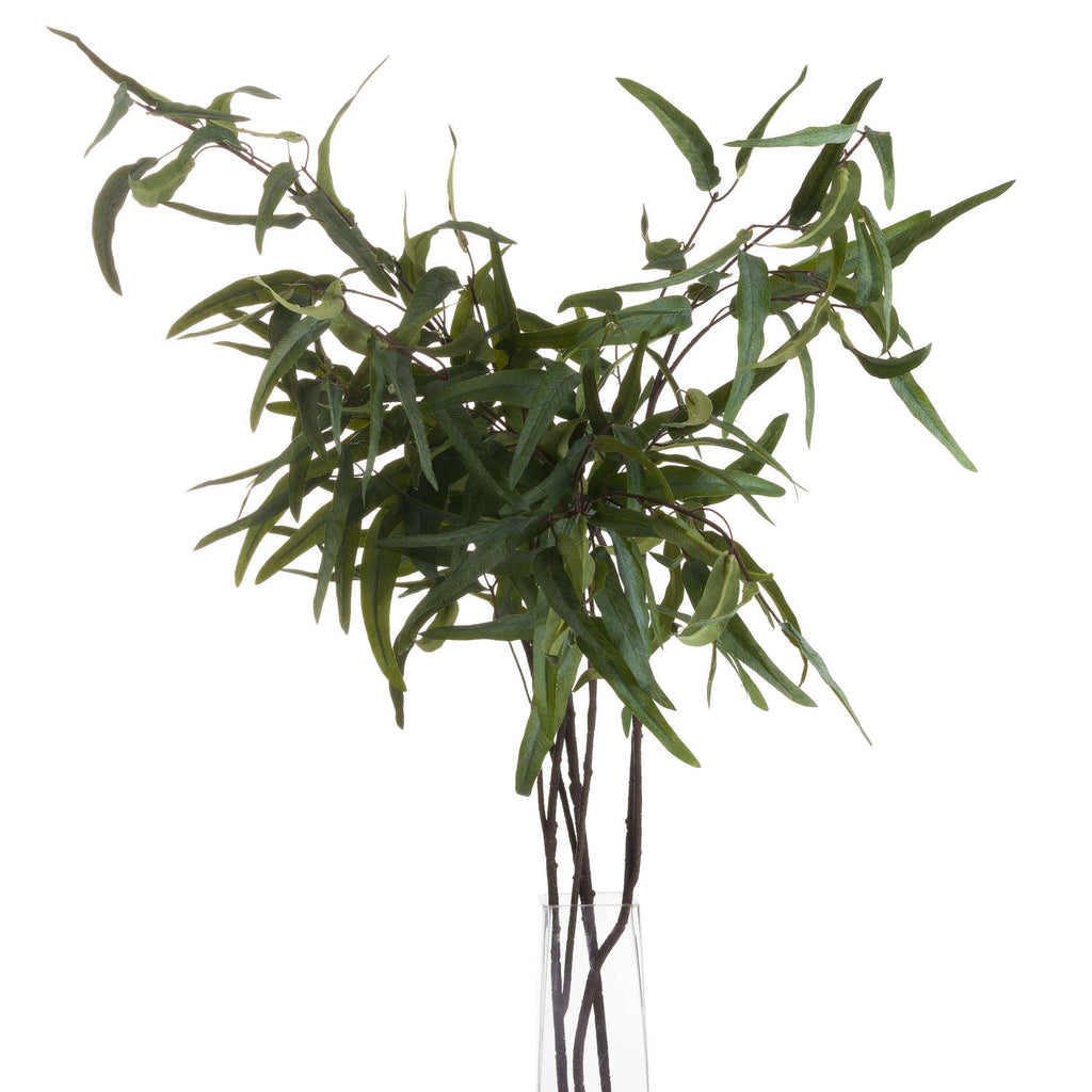 Single Stem, Eucalyptus Nicholii Spray
