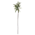Single Stem, Eucalyptus Nicholii Spray