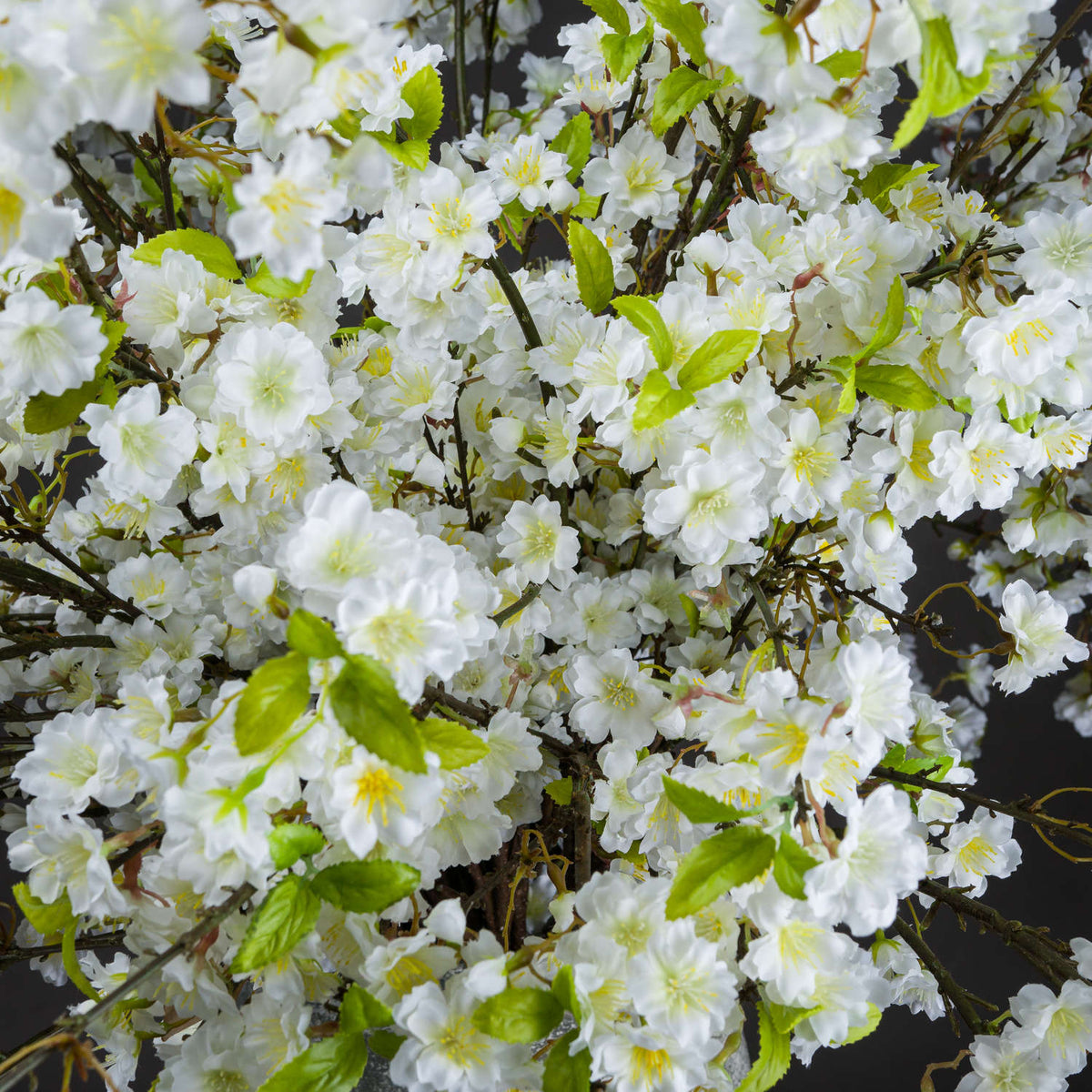 Single Stem, White Cherry Blossom Spray