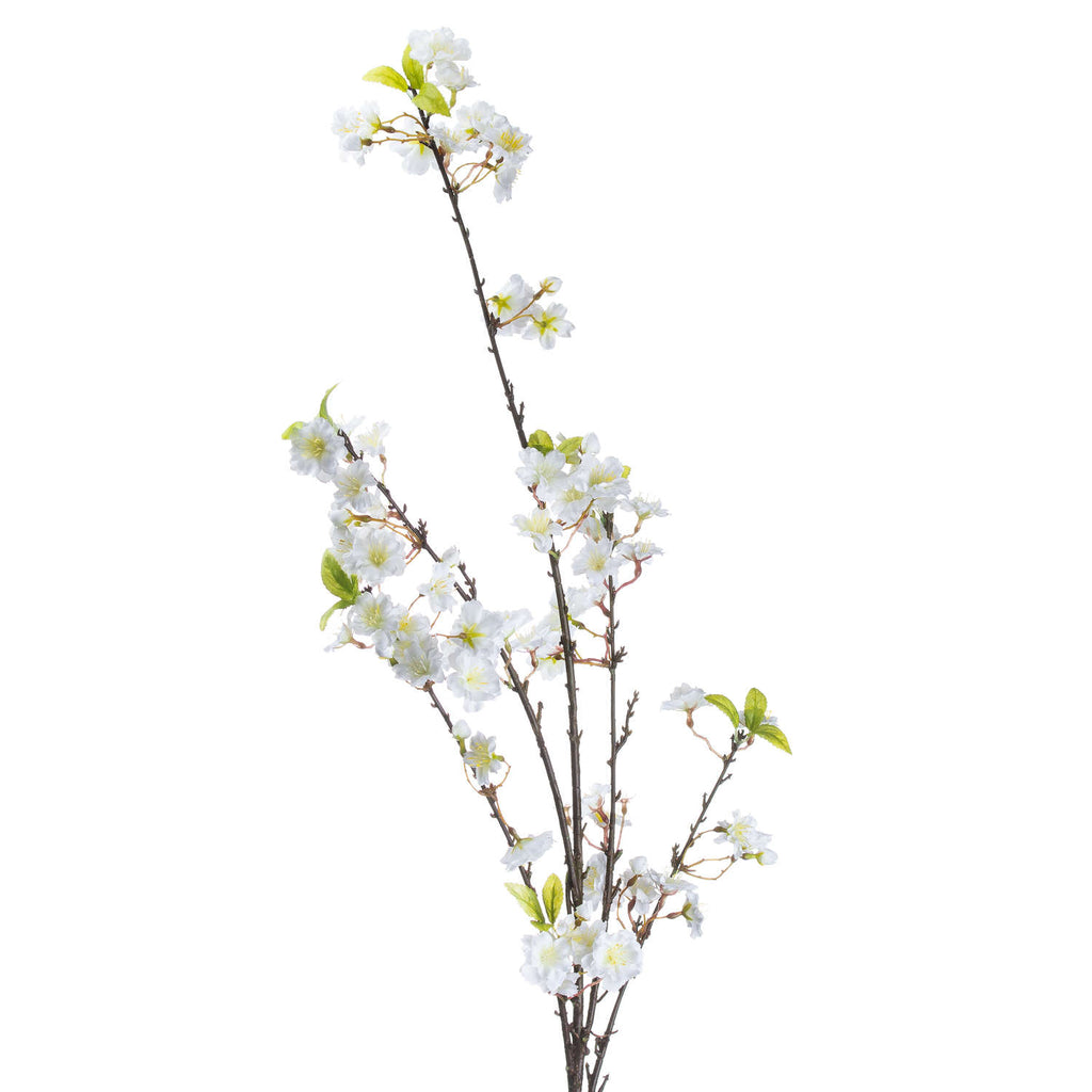 Single Stem, White Cherry Blossom Spray