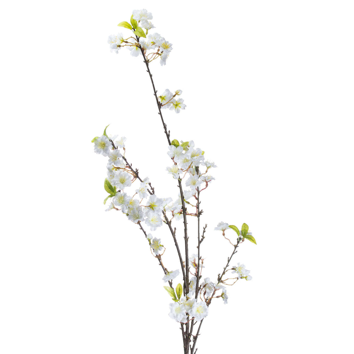 Single Stem, White Cherry Blossom Spray