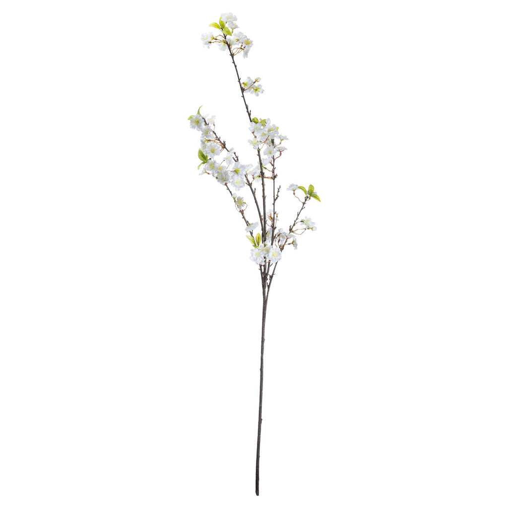 Single Stem, White Cherry Blossom Spray