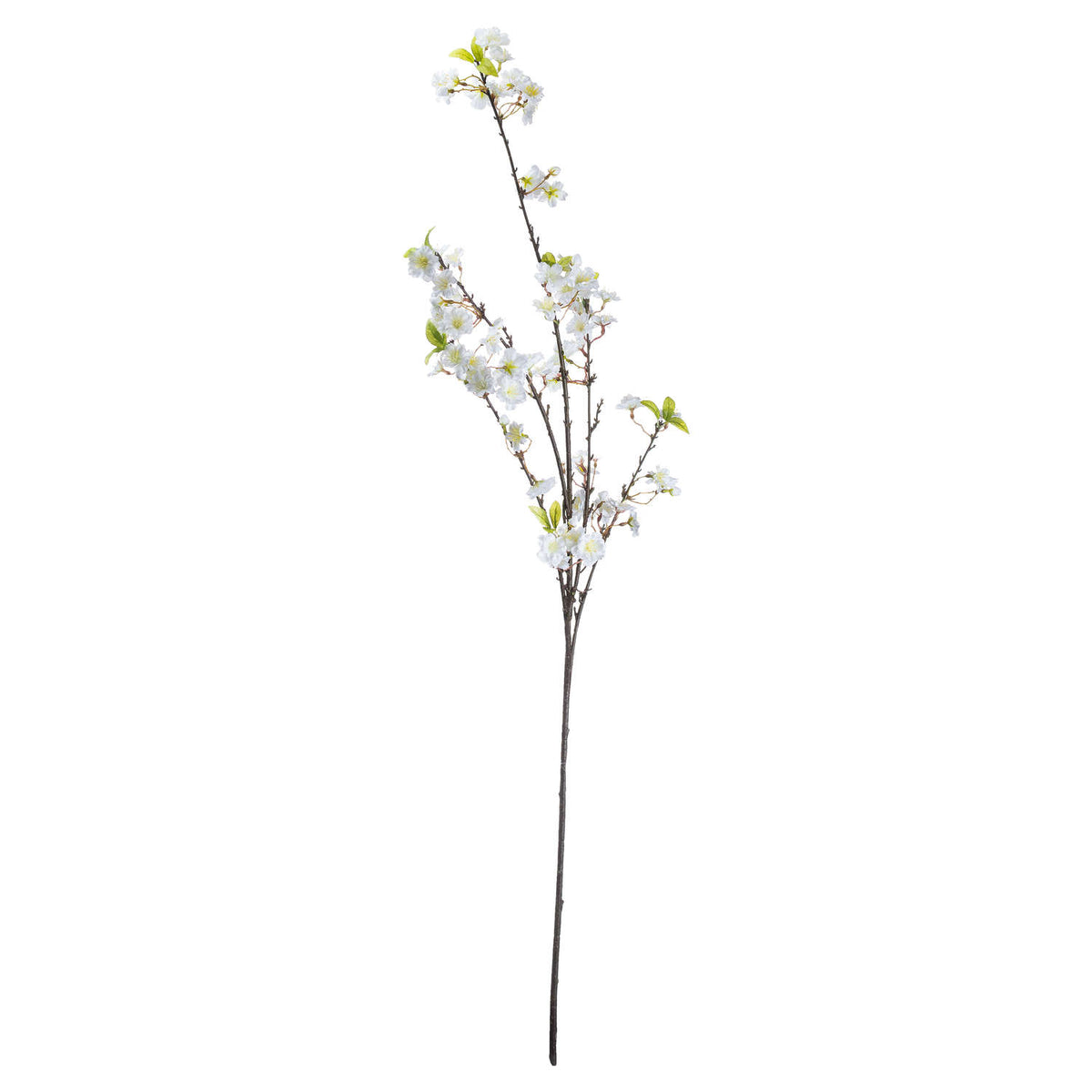Single Stem, White Cherry Blossom Spray