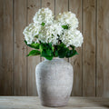 Single Stem, White Hydrangea