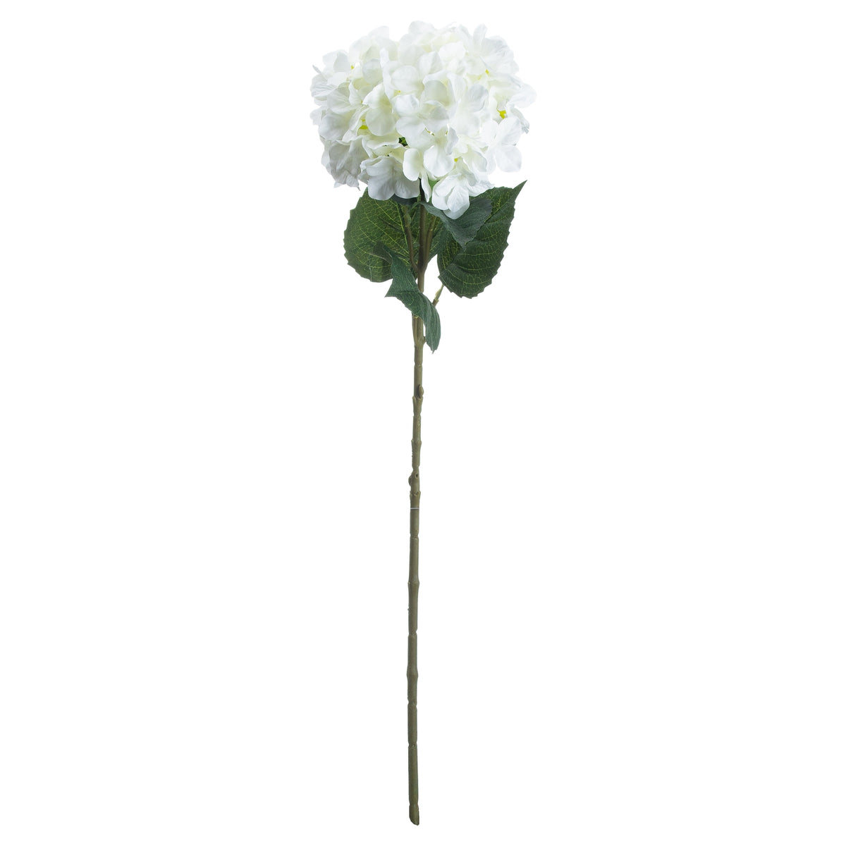 Single Stem, White Hydrangea