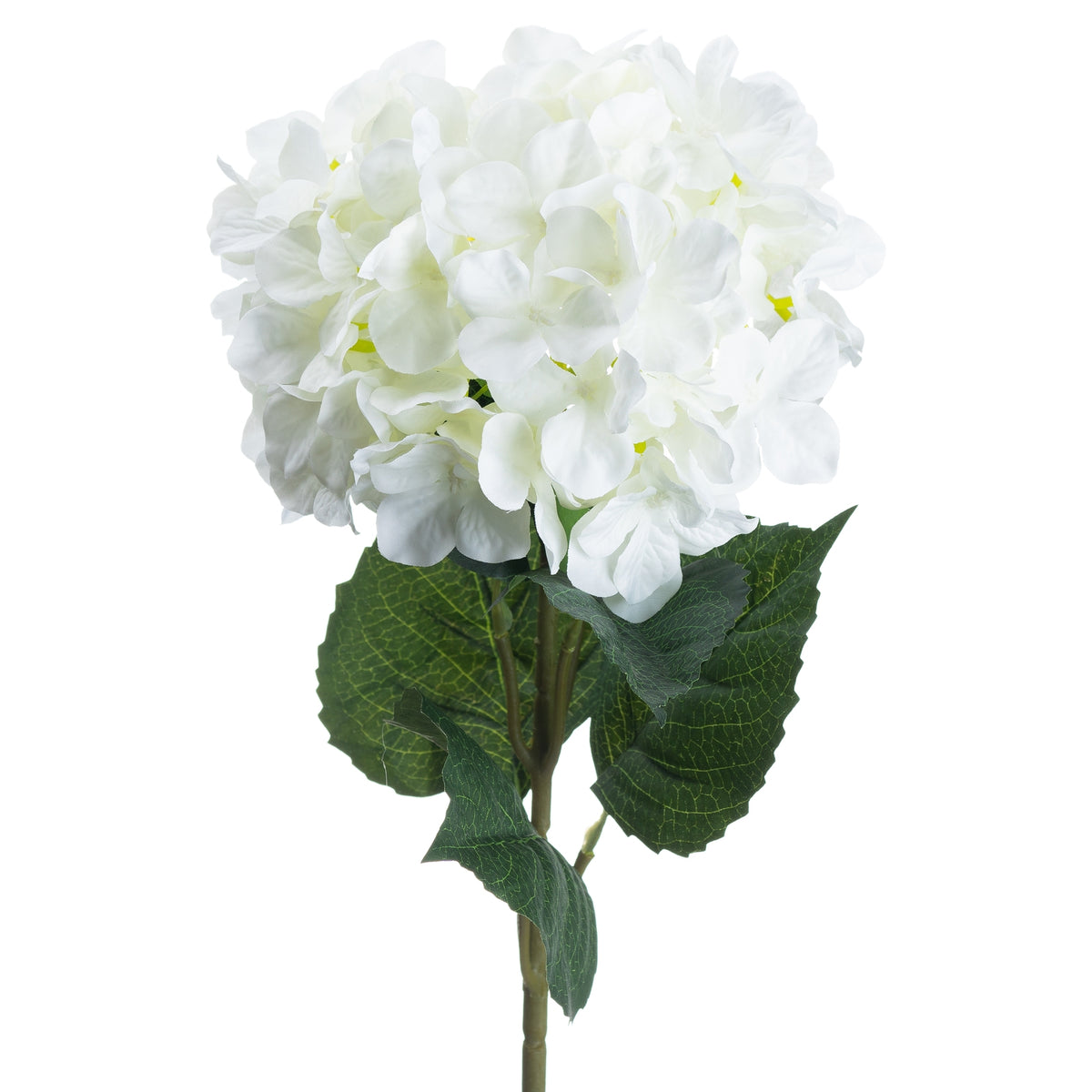 Single Stem, White Hydrangea