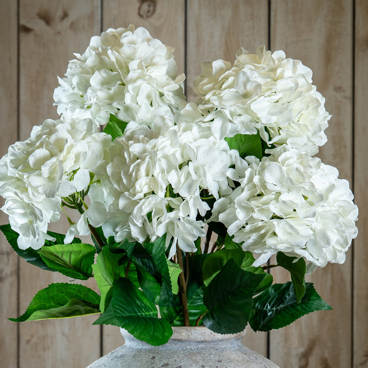 Single Stem, White Hydrangea