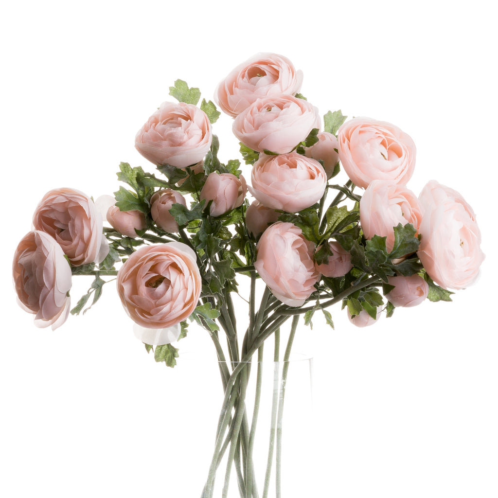 Single Stem, Pastel Pink Ranunculus