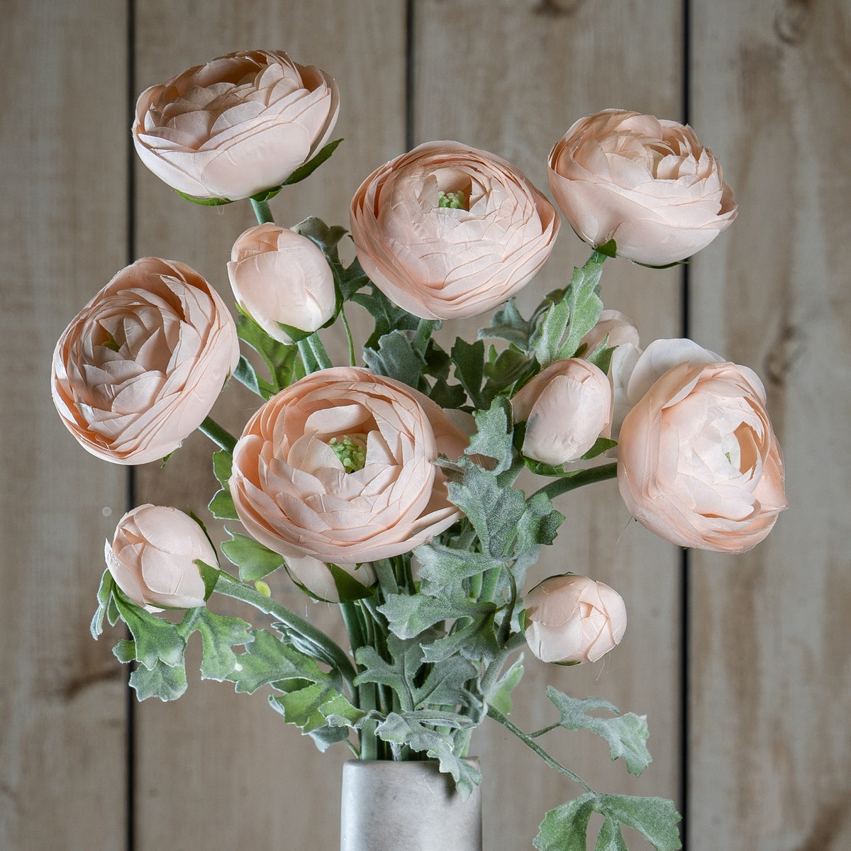 Single Stem, Pastel Pink Ranunculus