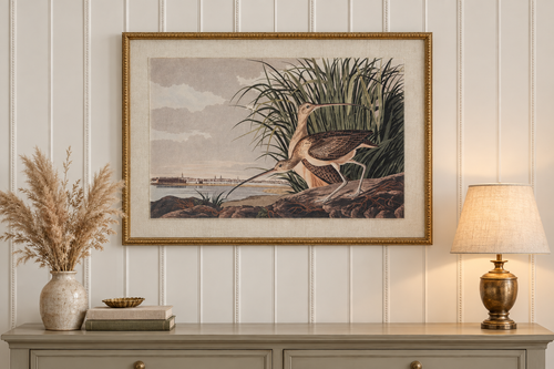 Curlew Audubon print hung on a white beaded tongue and groove panelled wall in a living room